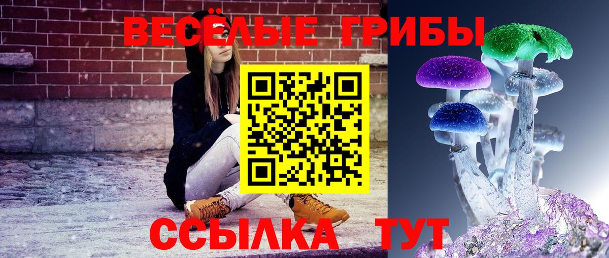 Галлюциногенные грибы мухоморы  Вход с VPN  Брянск  Галлюциногенные грибы Psilocybe 