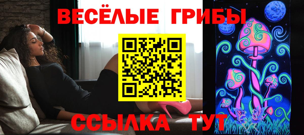 Галлюциногенные грибы прущие грибы Брянск